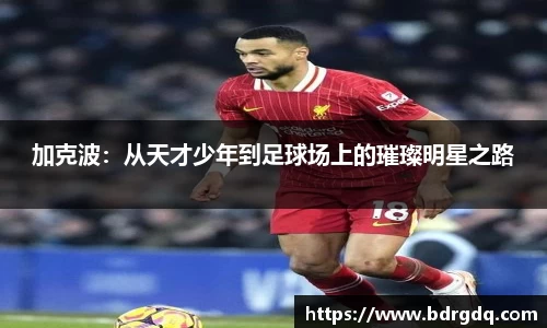 加克波：从天才少年到足球场上的璀璨明星之路